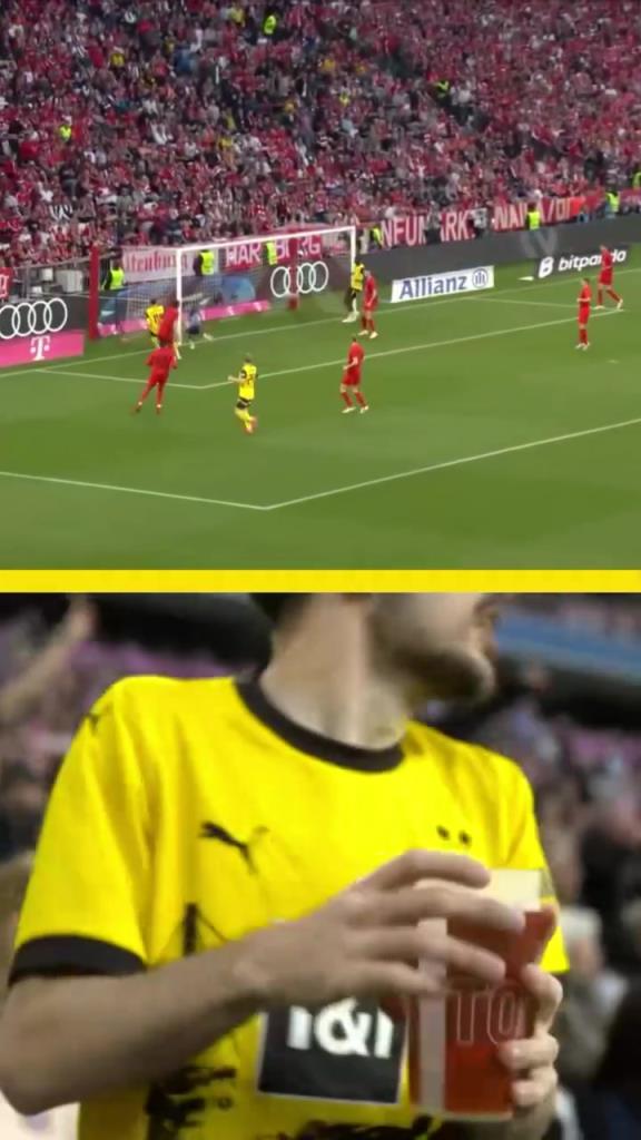 勇者無(wú)懼！這是真多特球迷！在拜仁球迷區(qū)一個(gè)人肆意慶祝！